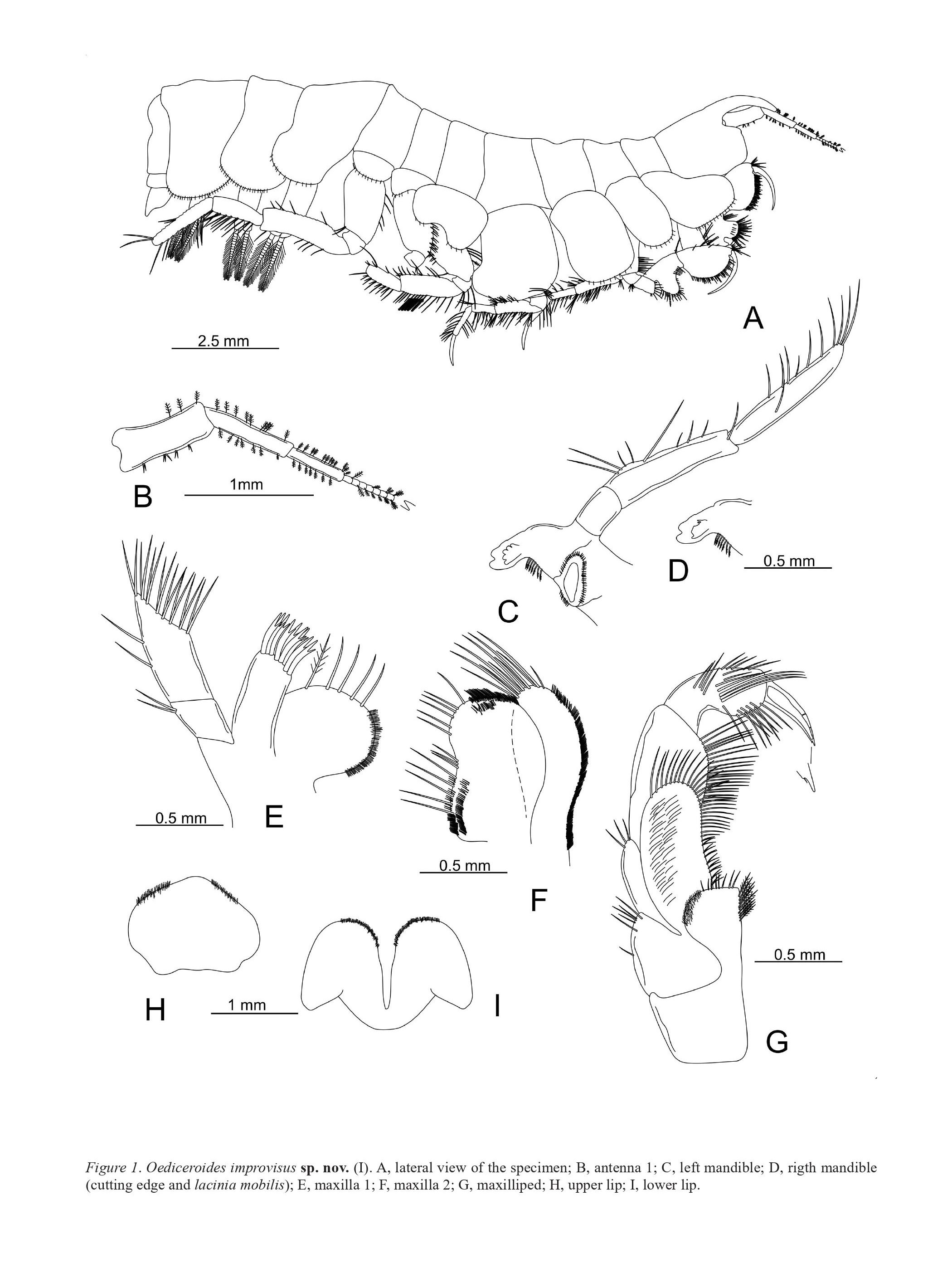 image0