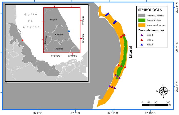 diagrama de zona intermareal